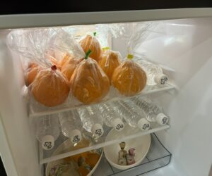 嬉しい差し入れをいただきました🍊